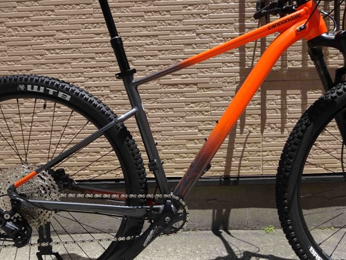 2022' Cannondale Trail SE 3-(新潟の自転車のプロショップ-佐々木輪店)